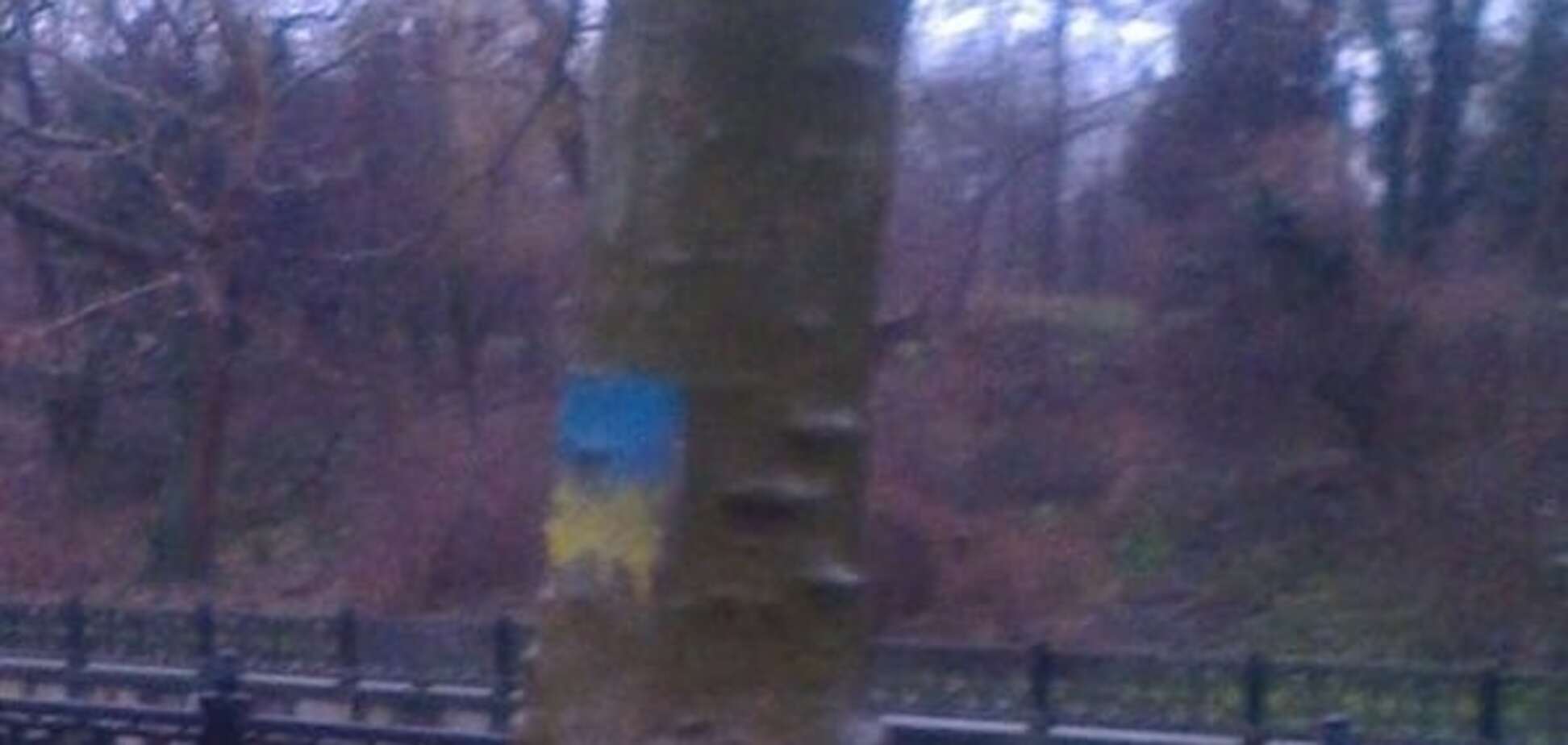 'Назло оркам': парк Симферополя украсили флагами Украины. Фотофакт