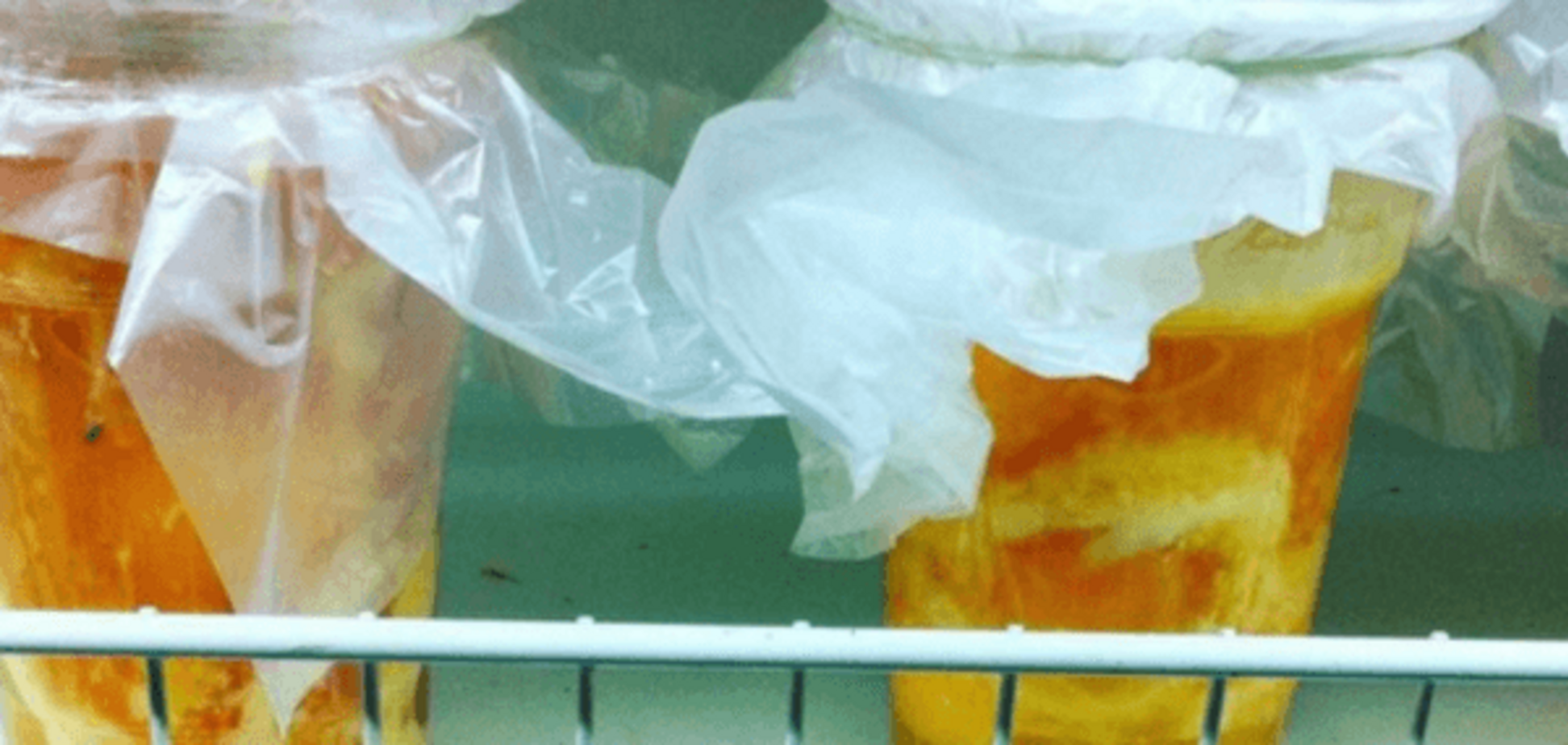 Последняя стадия: в луганских магазинах появились разбитые яйца