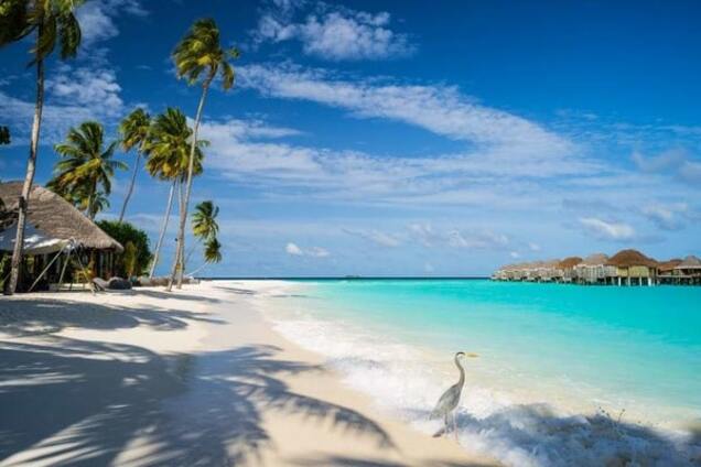 Мальдивские острова
