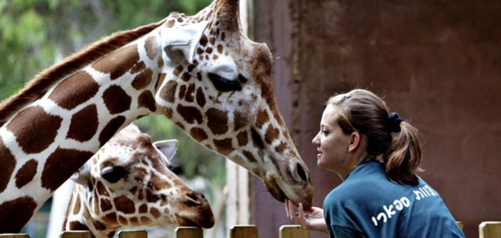 Zoological Center Tel Aviv-Ramat Gan
