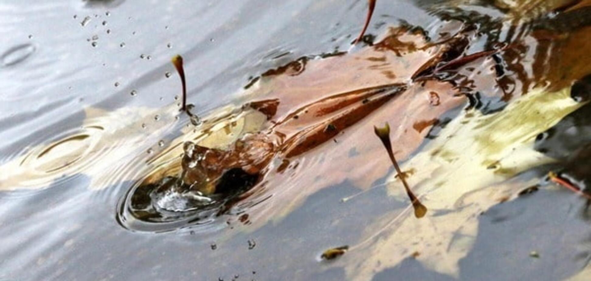 дощ калюжа осінь