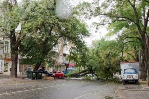 Ураган в Одессе