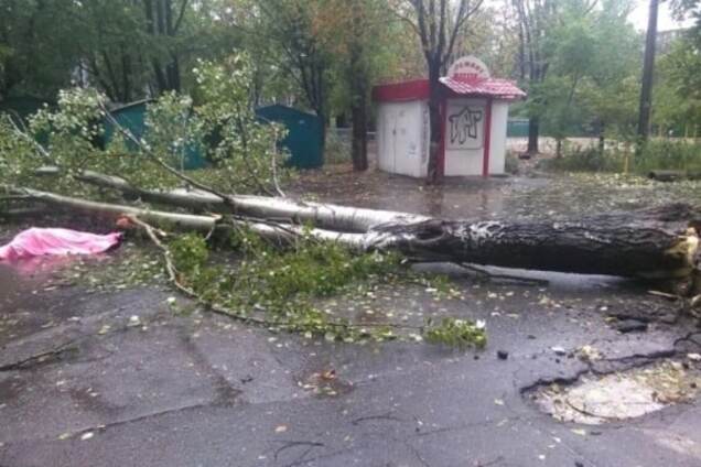 Непогода в Одессе