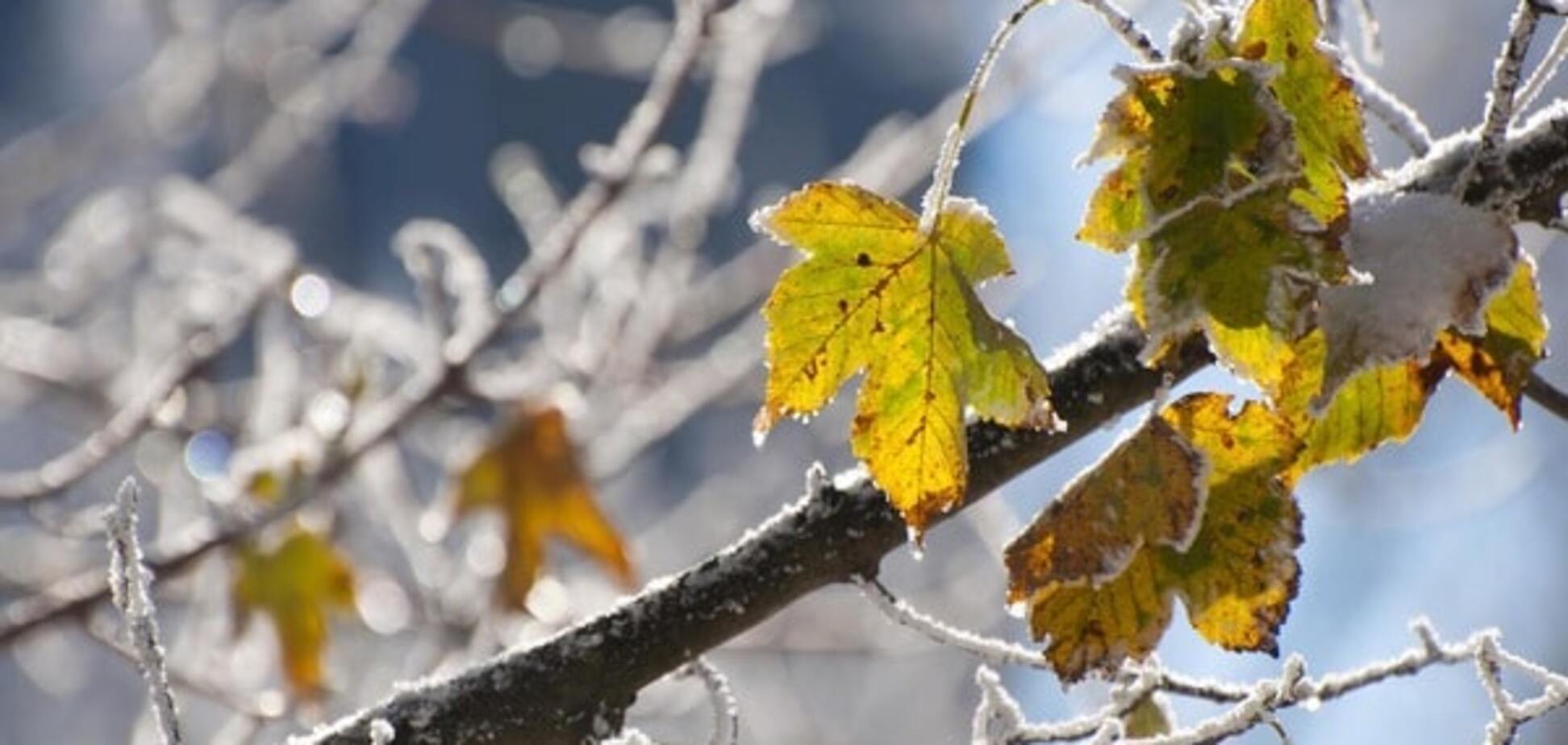 Прогноз погоды
