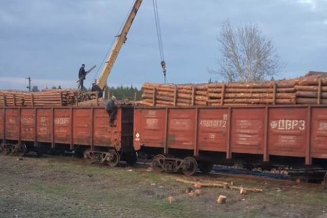 Вирубування лісу в Луганській області
