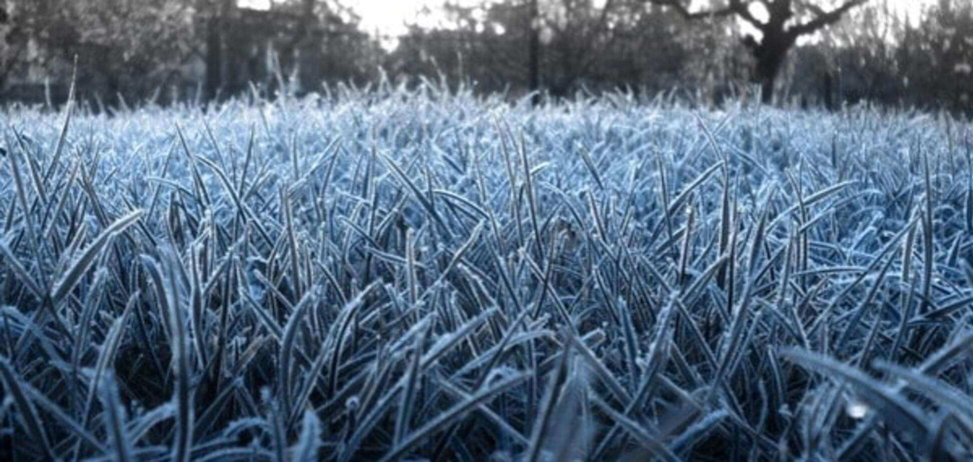 Погода в Украине