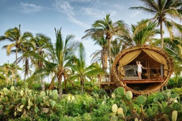 Райское местечко: роскошный бамбуковый дом на дереве - Мексика |  Обозреватель | OBOZ.UA