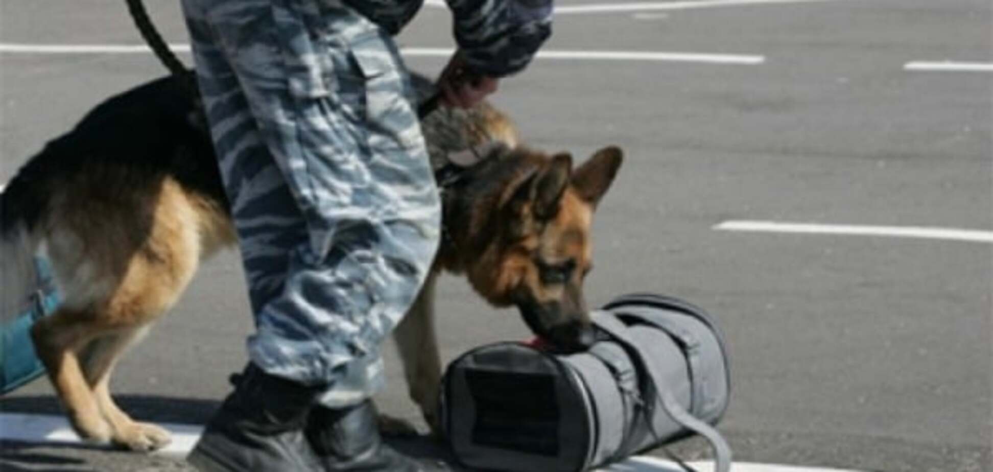 В Запорожской области сообщили о минировании горсовета