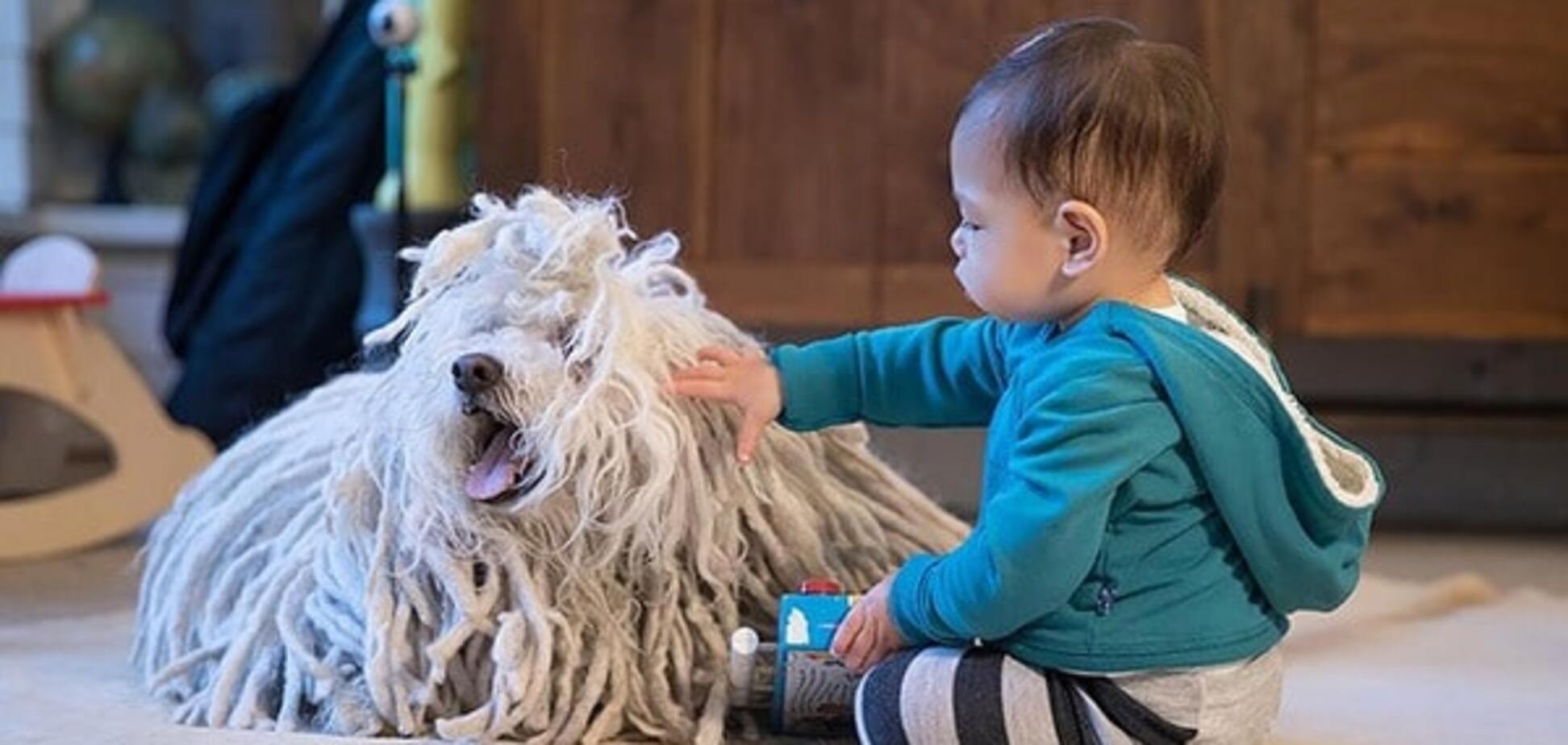 Дочь Марка Цукерберга Максима и их собака Бист