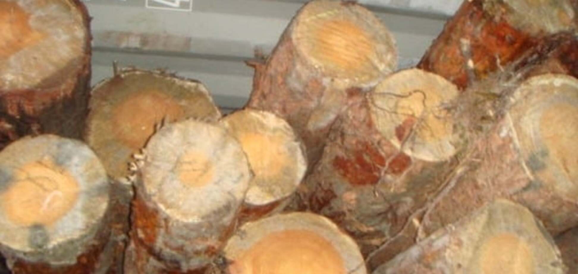 Незаконный экспорт леса