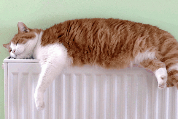 Отопление в Украине