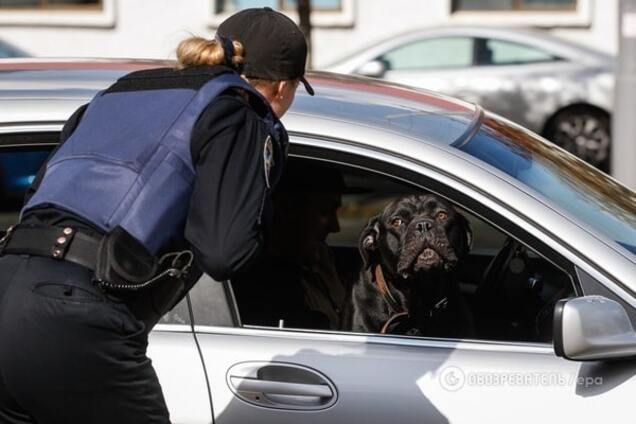 Патрульная полиция