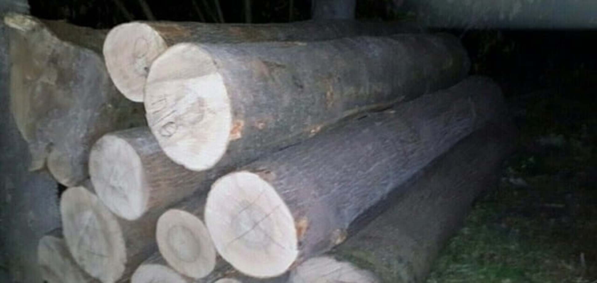 Вырубка лесов в Украине