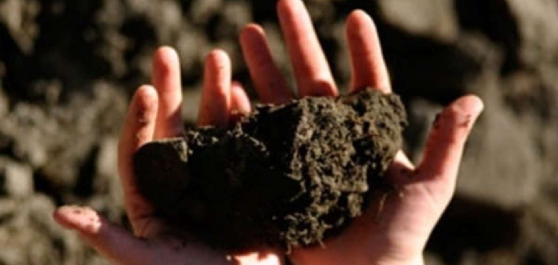 Продление моратория на продажу земли в Украине ударит по участникам рынка - Высоцкий