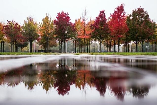 осінь ліс озеро