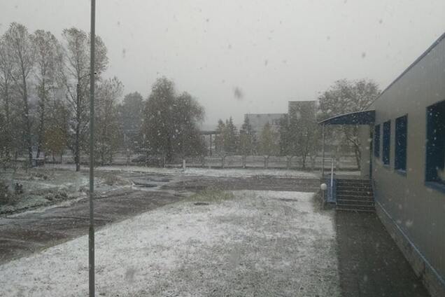 Перший сніг у Славутичі