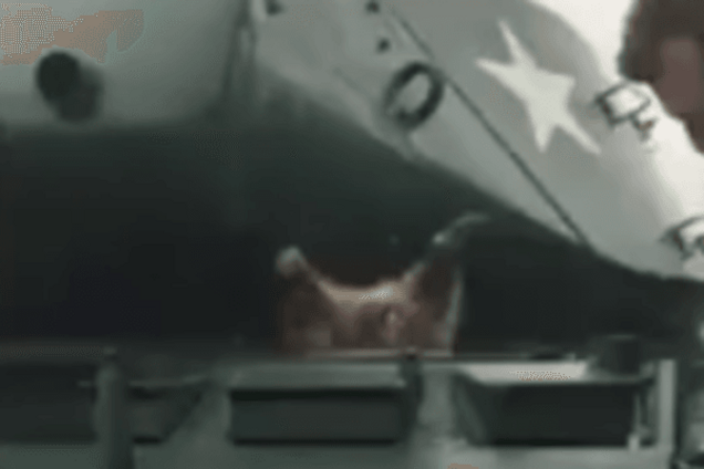 Енот в танке