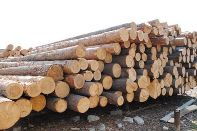 Як нас надурили з квотами