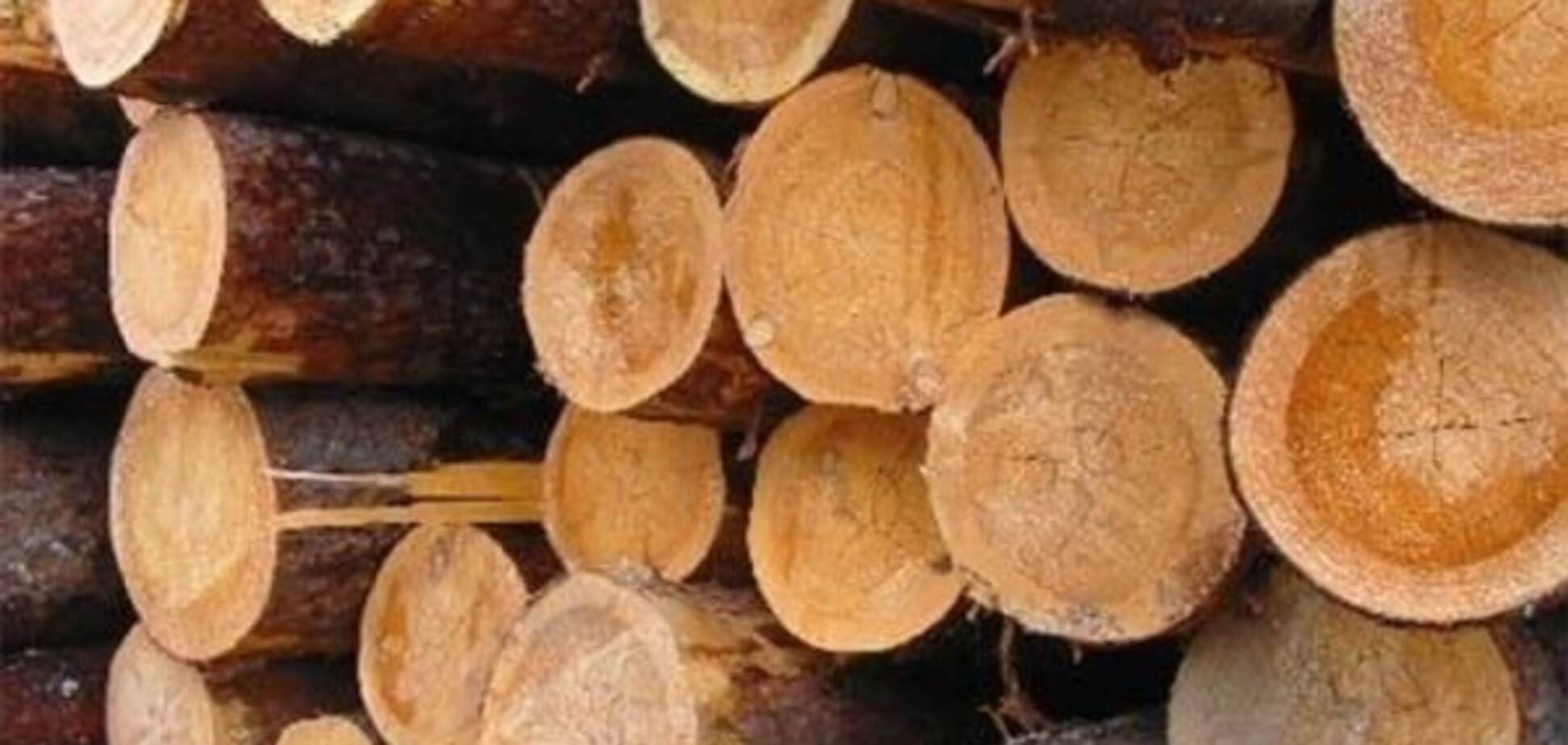 Мораторий на экспорт леса