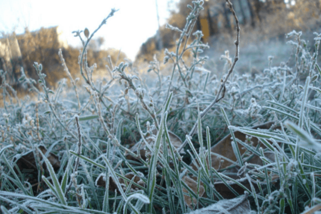 В Украину идут первые заморозки