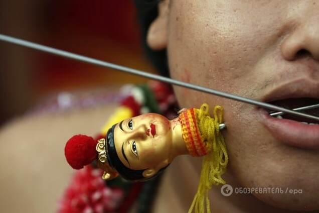 Вегетарианский фестиваль