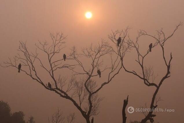 Смог в Дели