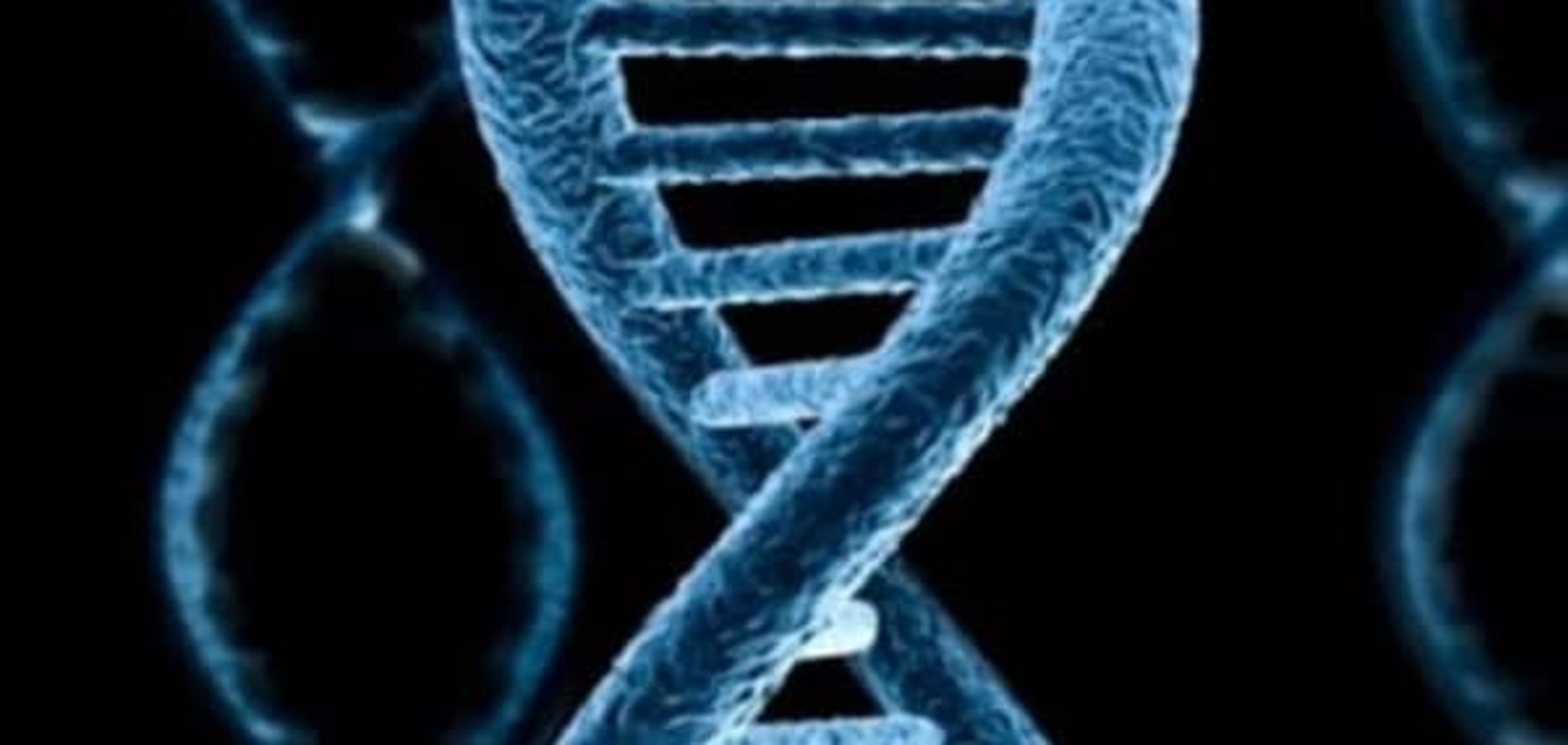Британские ученые обнаружили 'ген жирной пищи' в ДНК человека