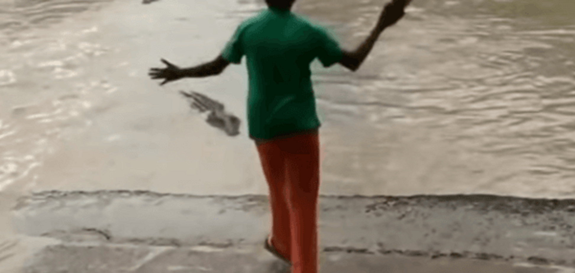 Женщина прогнала крокодила шлепком
