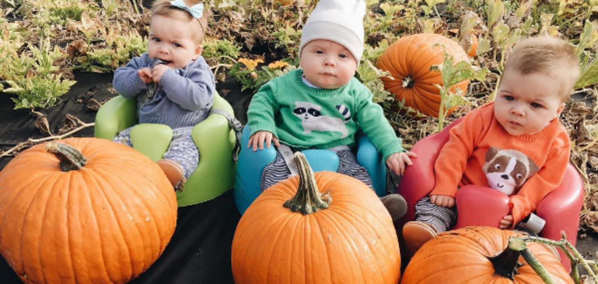 Подготовка к Хэллоуину началась: родители тройняшек нарядили малышей к празднику