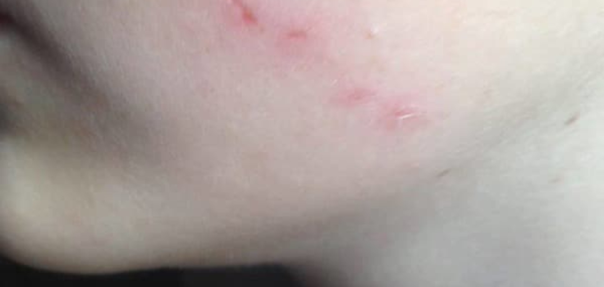 Потерпілий школяр