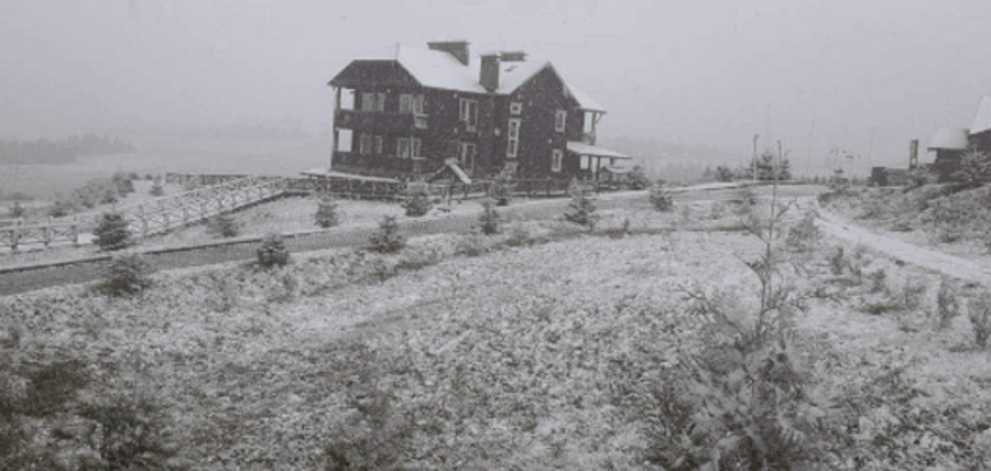 Снег в Буковеле