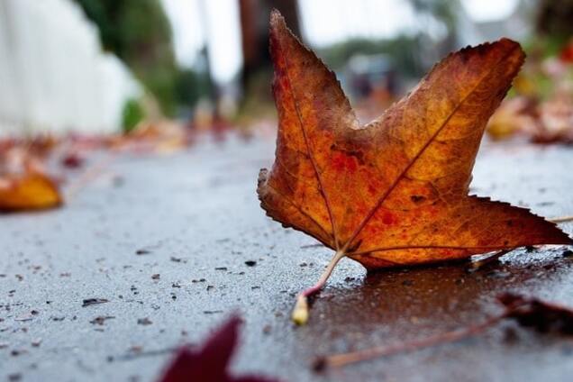 Дожди, солнце и потепление: синоптики дали прогноз погоды на выходные