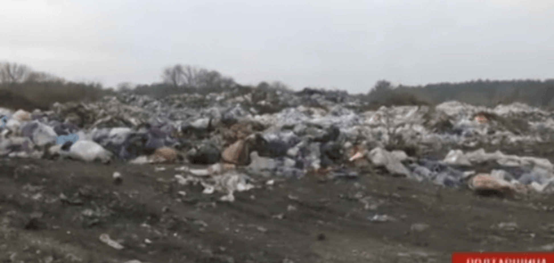 Львовский мусор на Полтавщине