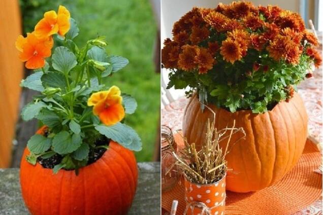 Тыквы на Хэллоуин