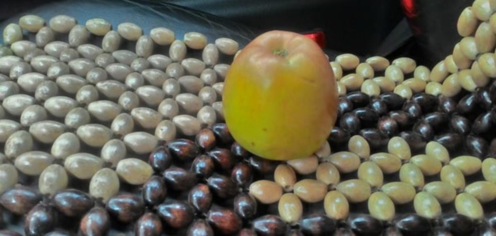 Яблуко, яке терорист дав українському волонтеру