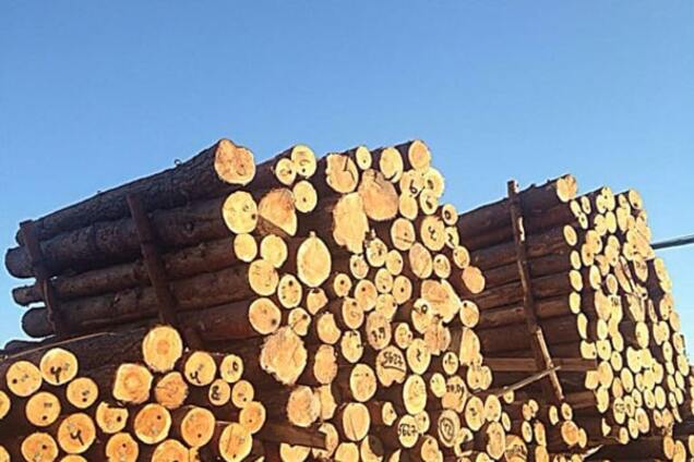 Экспорт леса