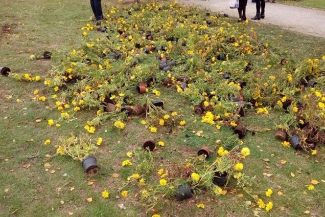 Первые потери: на праздновании запорожцы разрушили цветочные композиции