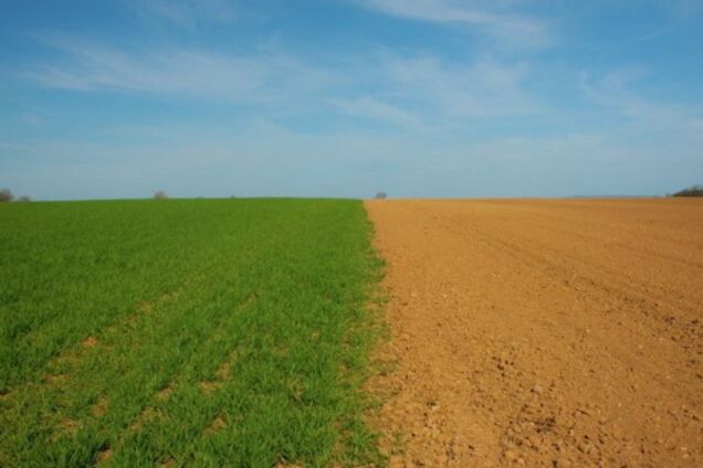 Мораторій на продаж землі