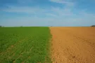 Мораторій на продаж землі