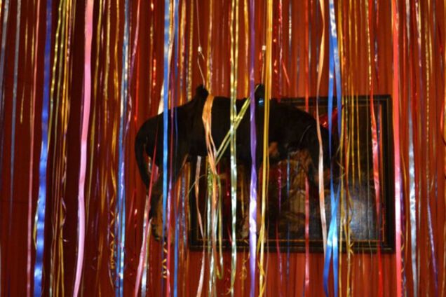 Чучело собаки в Эрмитаже