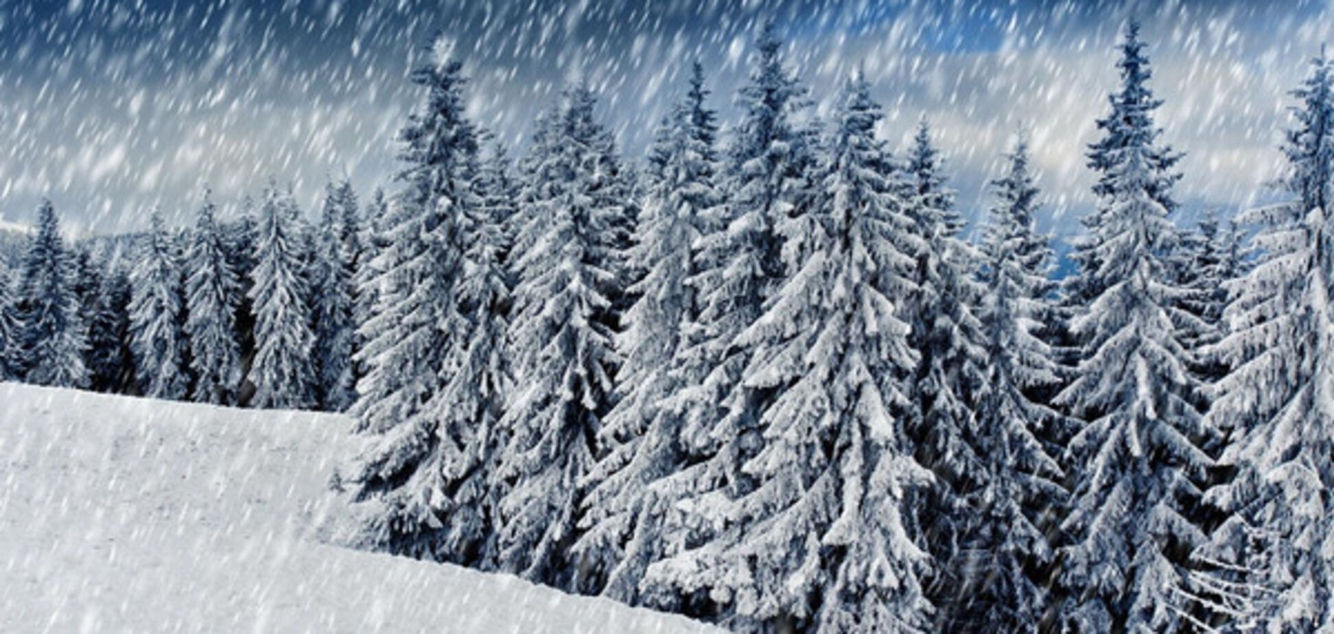 На Закарпатті і в Карпатах прогнозують сильні снігопади
