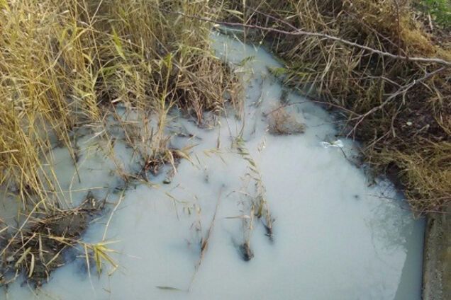 В Запорожской области в ручей сливают токсичное 'молочко'
