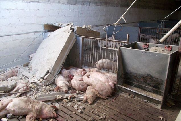 Обстрел Тоненького