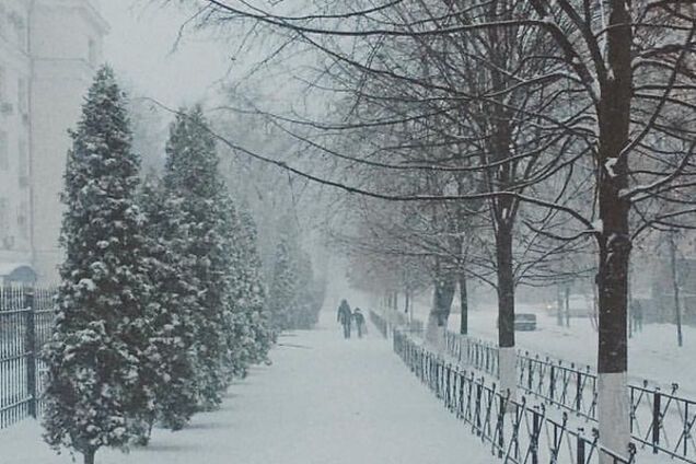 Сніг у Києві 14 листопада