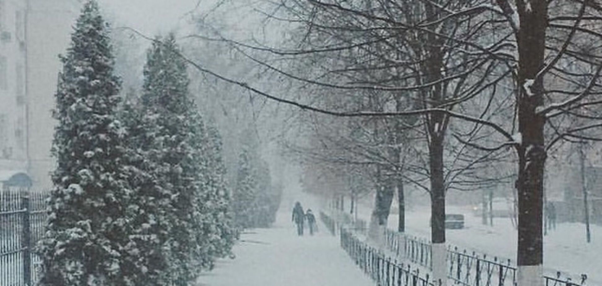Снег в Киеве 14 ноября