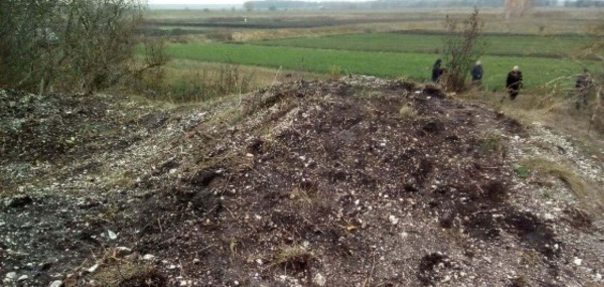 На Заході України археологи віднайшли речі часів мезолітичної епохи