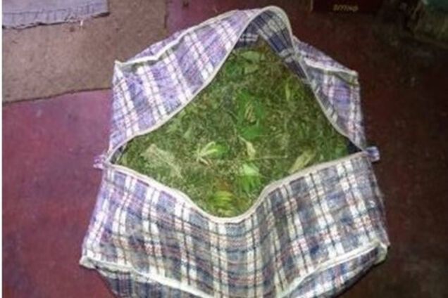 Приазовский опий, марихуана и запорожская гидропоника