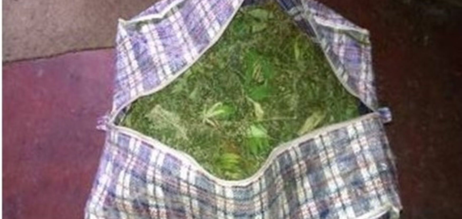 Приазовский опий, марихуана и запорожская гидропоника