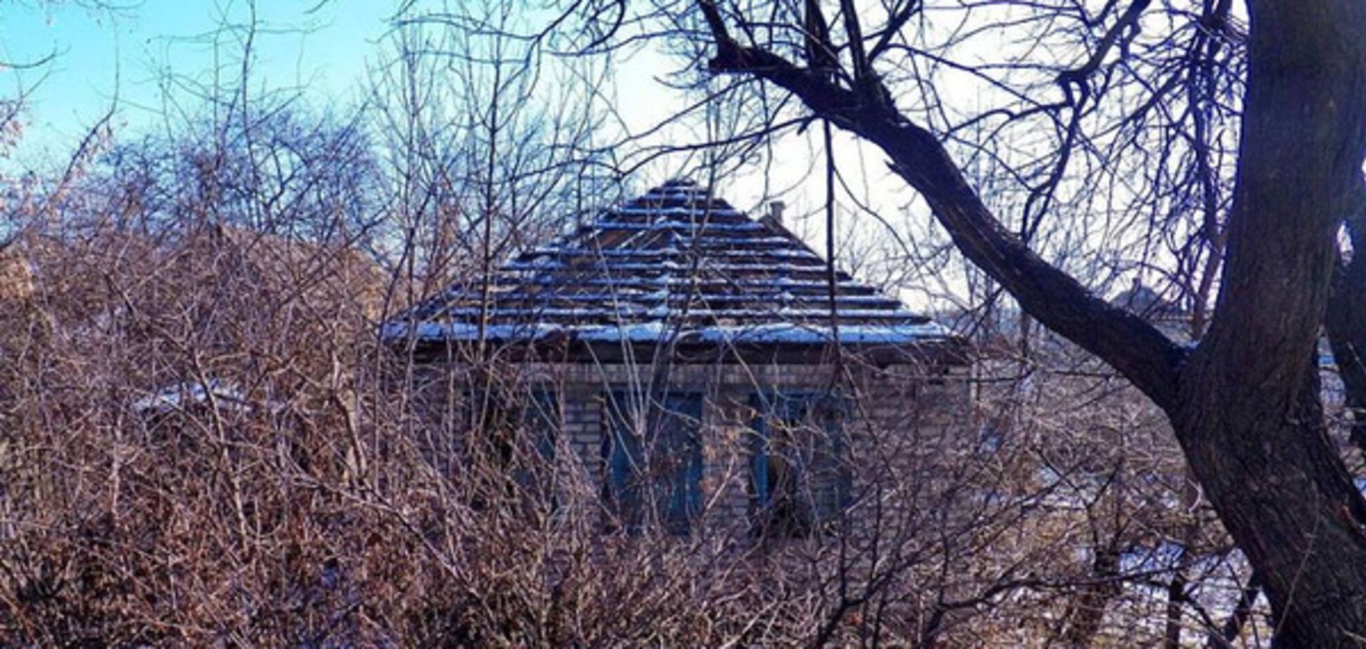 Будинок Януковича