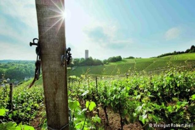 Рислінг для Дональда Трампа